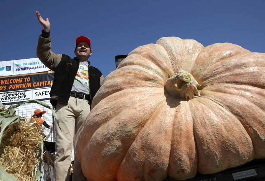 کشاورز کالیفرنیایی برنده مسابقه سالانه بزرگ‌ترین کدوتنبل با پرورش کدویی به وزن 2175 پوند (بیش از 1100 کیلو). این کشاورز با توجه به وزن کدو تنبل خود برنده جایزه 15 هزار و 225 دلار شد