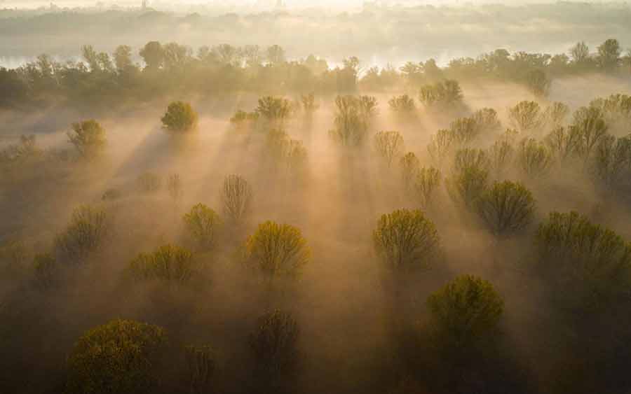 مزرعه مه گرفته درمجارستان