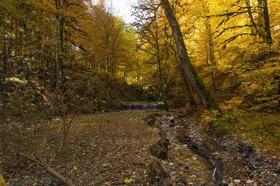 پاییز هیرکانی مازندران