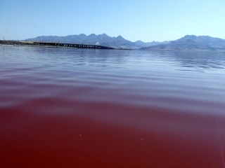 آب دریاچه ارومیه 3 برابر شد