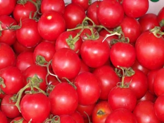 دلایل گرانی گوجه فرنگی در بازار چیست ؟
