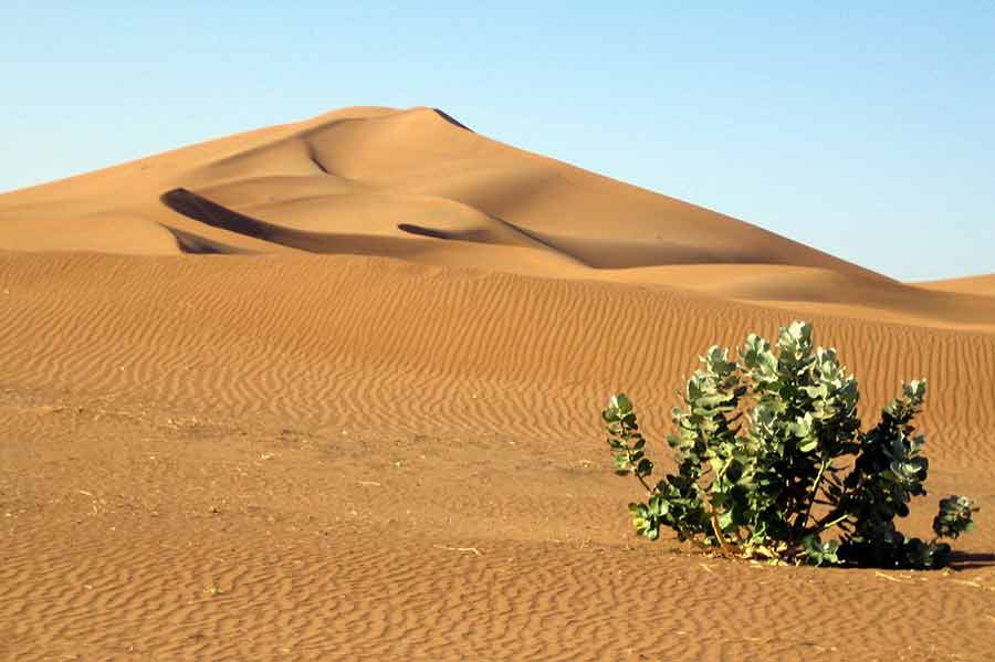 قطار گردشگری کویر راهاندازی شد - Desert tourism train launched