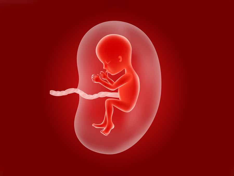 نوزادان در رحم بیش از حد تصور می‌بینند - Fetuses in the womb see over-imagined!