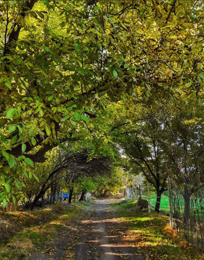 طبیعت پاییزی کوچه باغهای روستای قاضی جهان شهرستان آذرشهر طبیعت پاییزی کوچه باغهای روستای قاضی جهان شهرستان آذرشهر