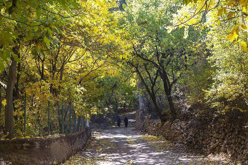 پاییز زیبای روستای «وَفْس» در کمیجان استان مرکزی