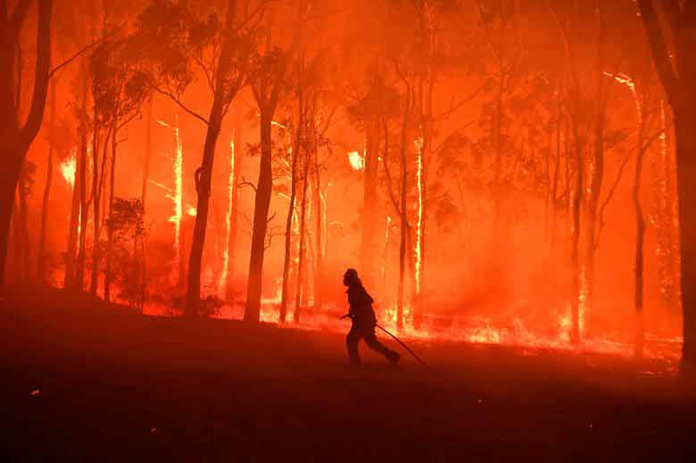 آتش سوزی جنگلی در سیدنی استرالیا