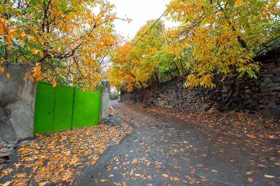 thousands-colors-of-alvanad-autumn