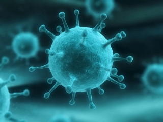 آنفلوآنزا در 5 استان بیشترین شیوع را دارد