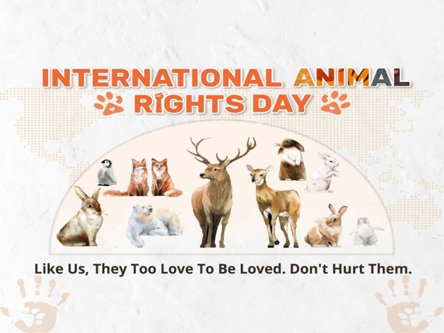 10 دسامبر ، روز جهانی حقوق حیوانات