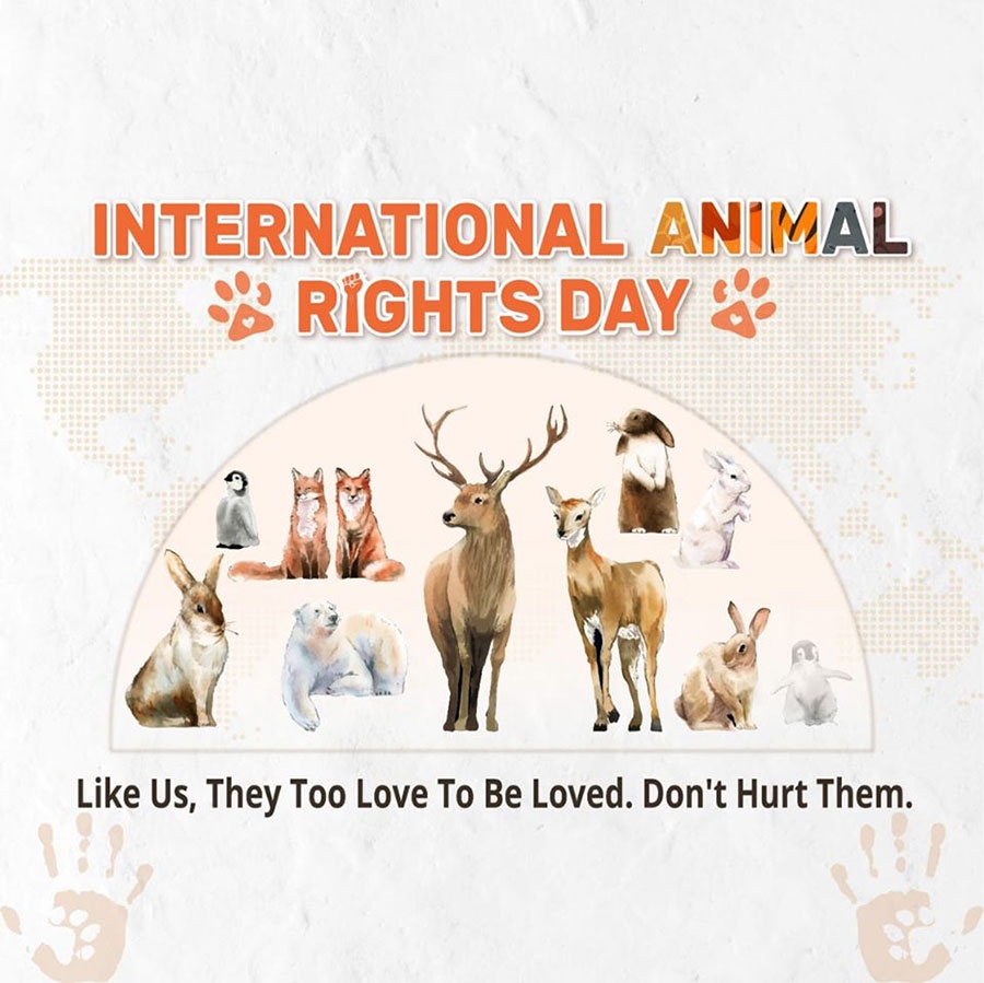 10 دسامبر ، روز جهانی حقوق حیوانات