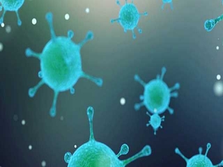 تهدید آنفلوانزا جدی است / مدارس را تعطیل کنید