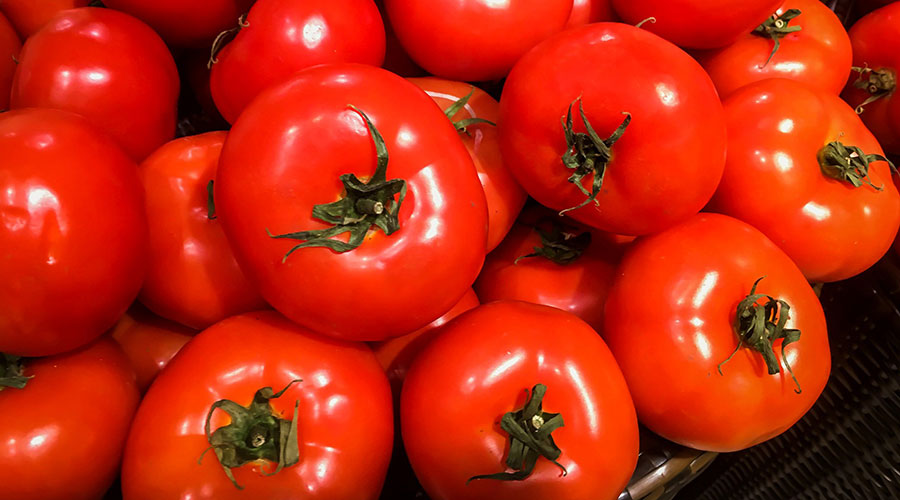 قیمت گوجه‌فرنگی در بازار کاهش یافت - The price of tomatoes on the market dropped