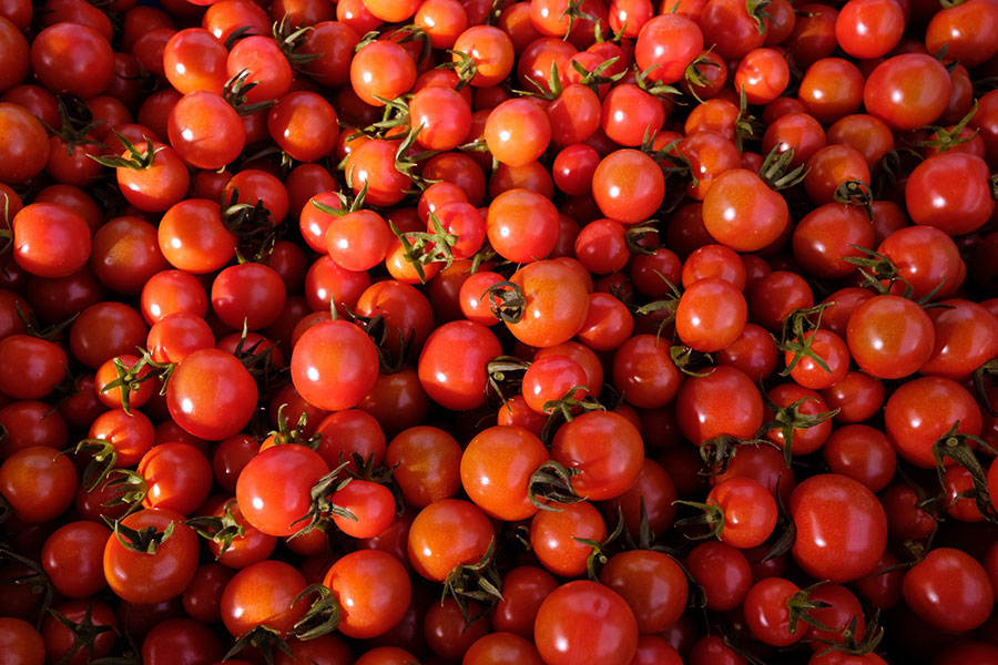 قیمت گوجه فرنگی به 9000 تومان رسید - The price of tomatoes reached 9000 tomans قیمت گوجه فرنگی به 9000 تومان رسید - The price of tomatoes reached 9000 tomans