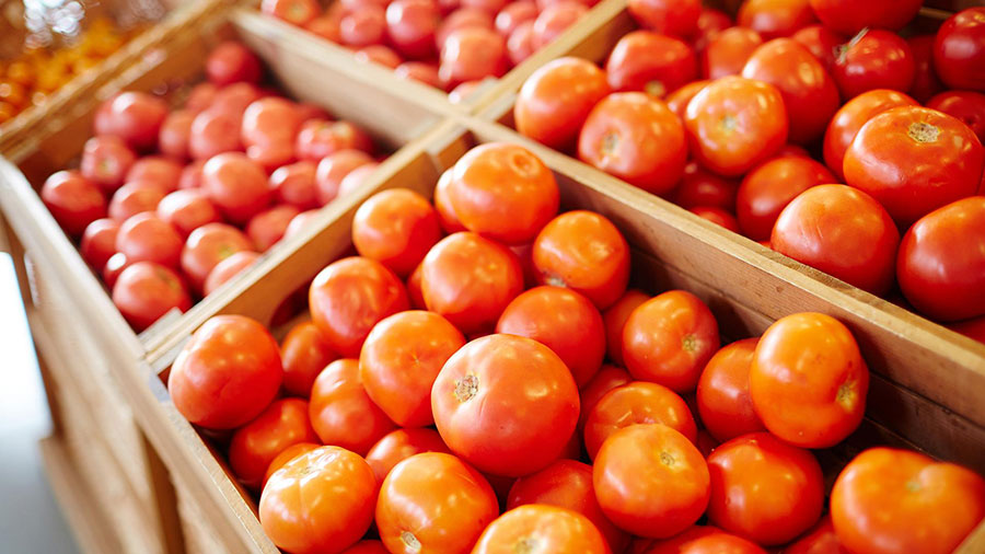 گوجه فرنگی ارزان می‌شود - Tomatoes get cheap