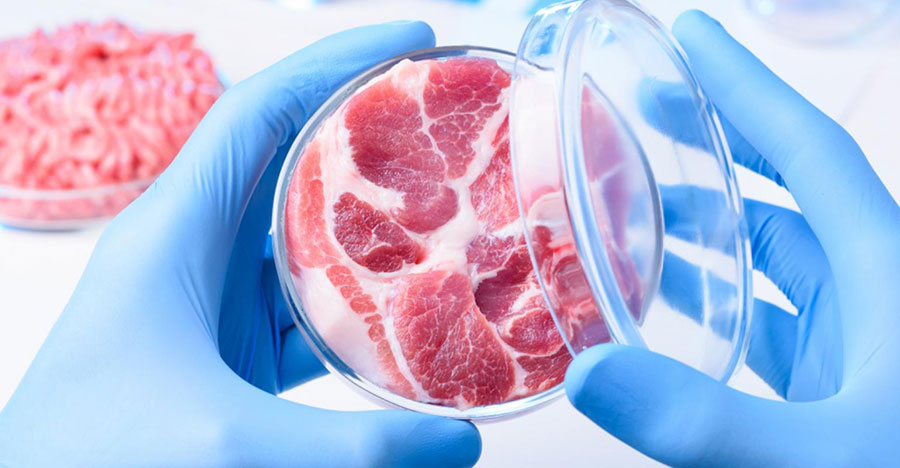 در حال بررسی پروژه گوشت مصنوعی هستیم - We are investigating the Cultured meat project در حال بررسی پروژه گوشت مصنوعی هستیم - We are investigating the Cultured meat project