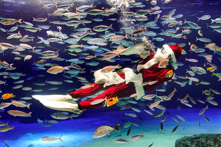 غواصی با لباس بابانوئل در آکواریومی در توکیو