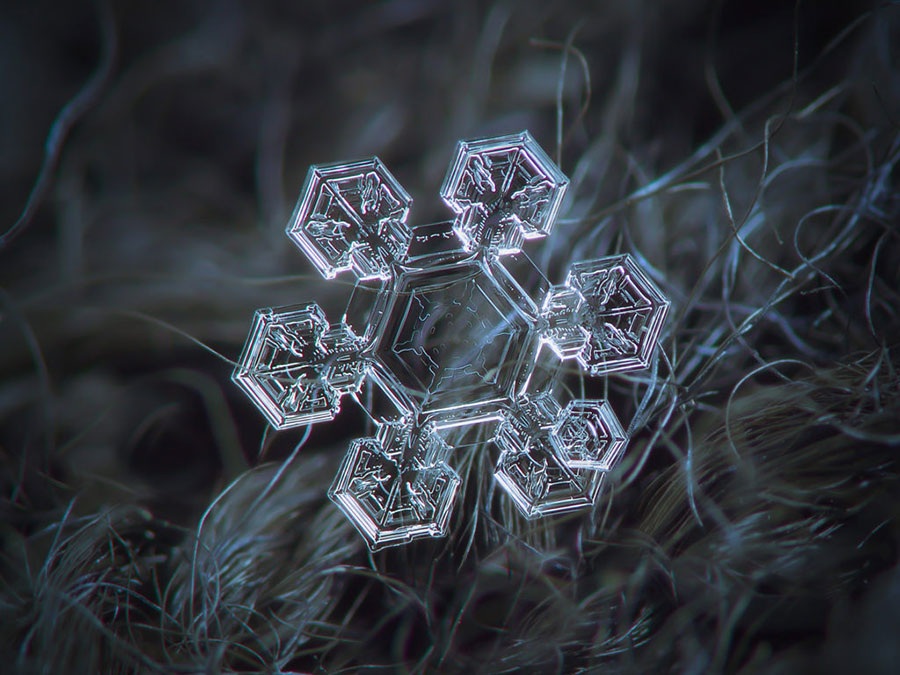 دانه‌های زیبای برف زیر میکروسکوپ