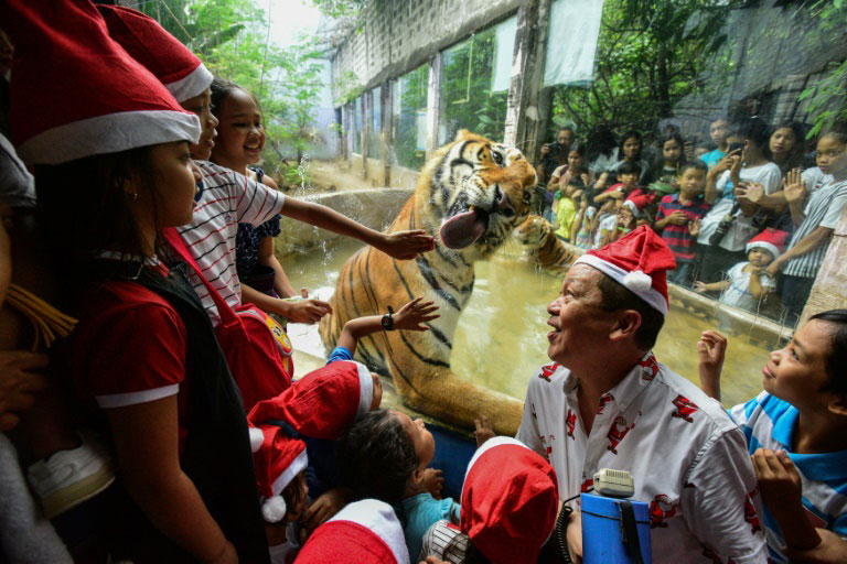 حال و هوای کریسمس در باغ وحش مالابون در شهر مانیل فیلیپین