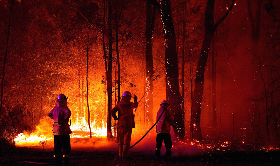 خطر انقراض برخی گونه‌های حیوانی در آتش‌سوزی‌های استرالیا - Risk of extinction of some animal species in Australia fire