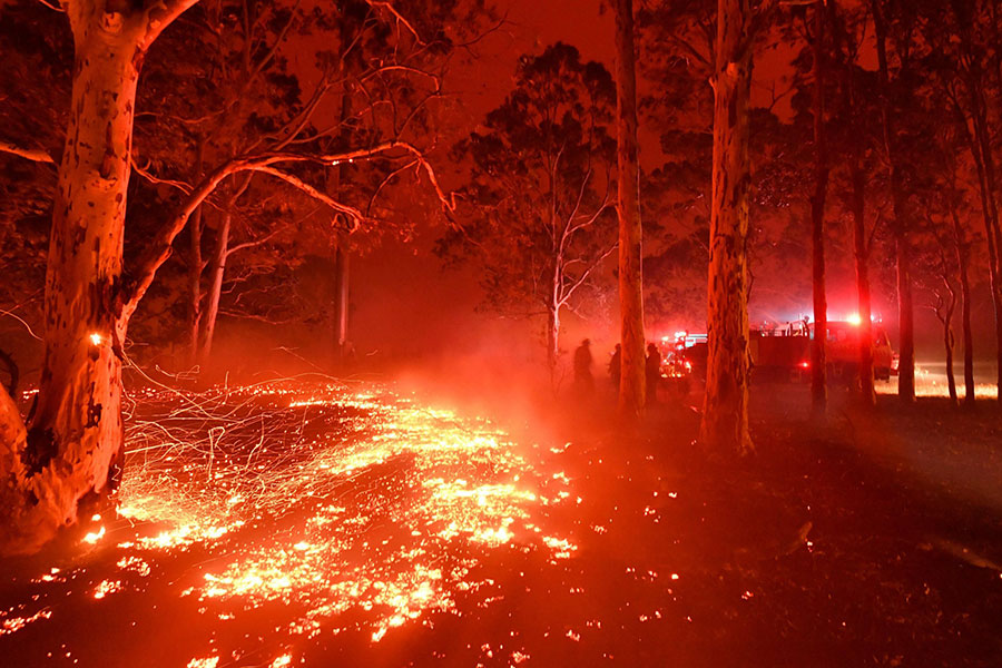 آتش سوزی جنگلی در استرالیا