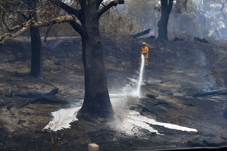 آتش سوزی در مناطق جنگلی استرالیا