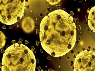 جلسه مسئولان قم درباره ویروس کرونا هنوز ادامه دارد