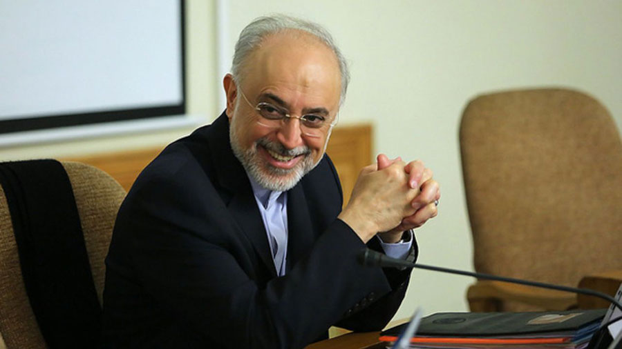 علی اکبر صالحی وارد وین شد - Ali Akbar Salehi arrived in Vienna علی اکبر صالحی وارد وین شد - Ali Akbar Salehi arrived in Vienna