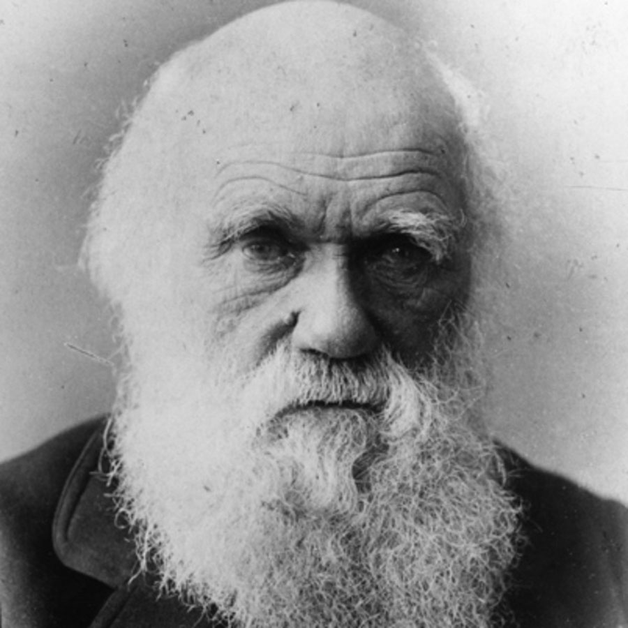 زادروز چارلز داروین - Charles Robert Darwin birthday