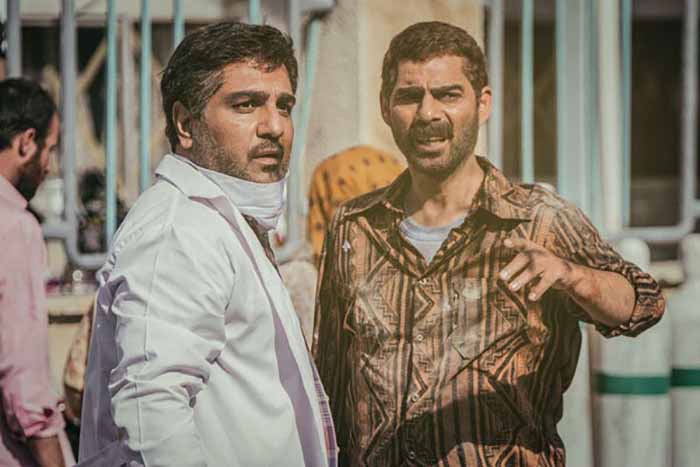 نگاهی به فیلم درخت گردو