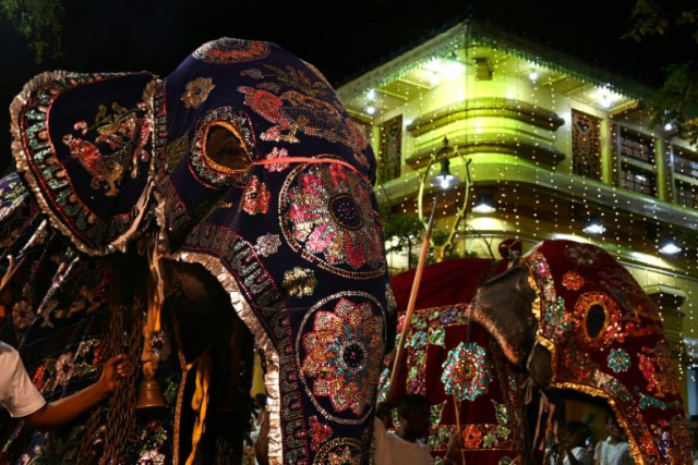 جشنواره سنتی ناوام پِراهرا در شهر کلمبو (پایتخت) سریلانکا