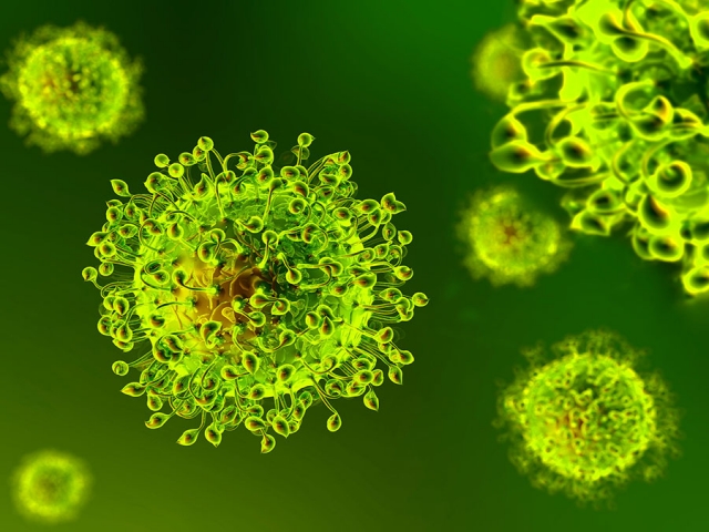 شناسایی 523 مورد جدید ویروس کرونا در کشور