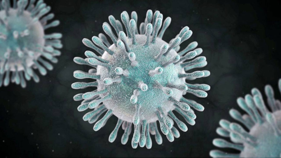 835 ابتلا و 11 فوتی - 835 infections and 11 deaths 835 ابتلا و 11 فوتی - 835 infections and 11 deaths