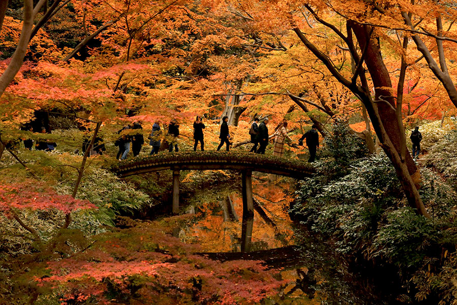 باغ Rikugien ، در منطقه Bunkyo در توکیو باغ Rikugien ، در منطقه Bunkyo در توکیو