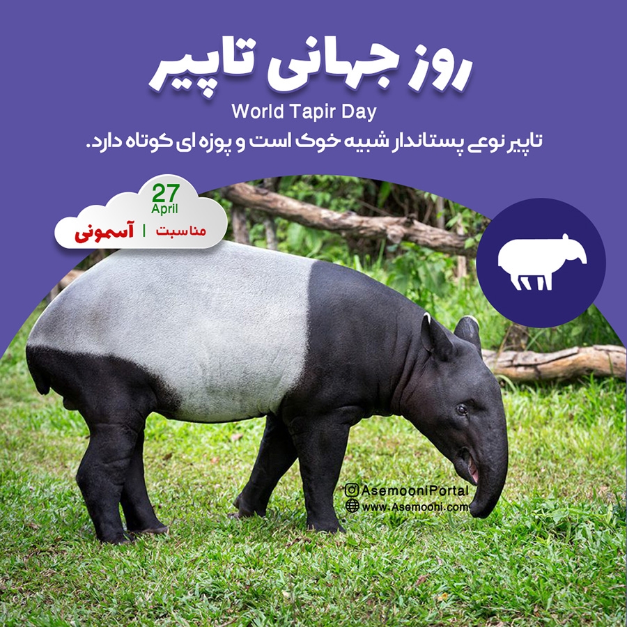 27 آوریل؛ روز جهانی تاپیر