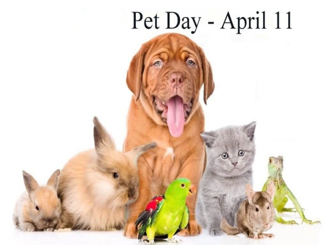 11 آوریل؛ روز جهانی حیوان خانگی
