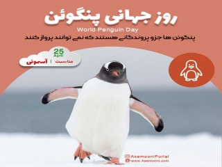 25 آوریل ، روز جهانی پنگوئن