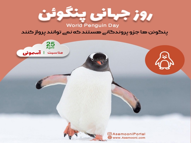 25 آوریل ، روز جهانی پنگوئن