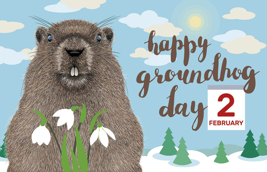 روز جهانی موش خرمایی - Groundhog Day