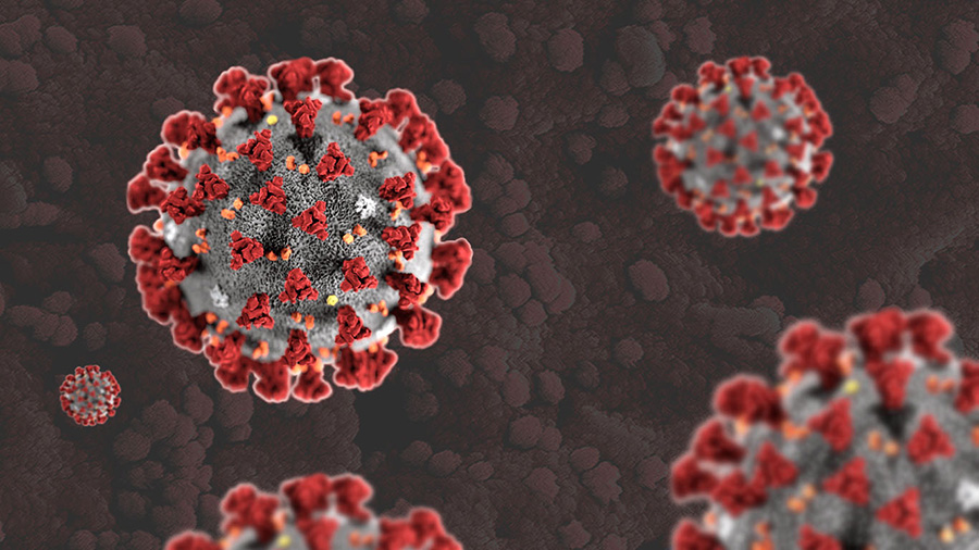 علائم ویروس کرونا بروزرسانی شد - Symptoms of coronavirus were updated