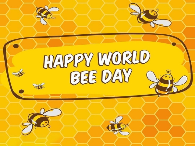 20 می ، روز جهانی زنبور