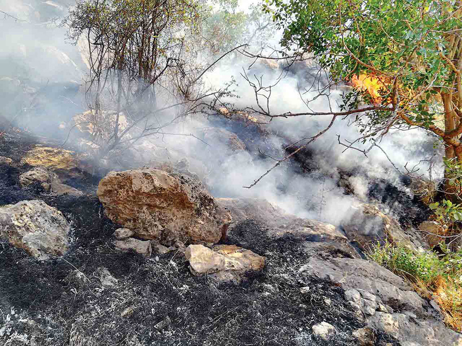 آتش سوزی دوباره جنگل‌های گچساران - Gachsaran forests fire again