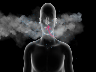 حرف زدن 10 برابر بیشتر از تنفس، ویروس کرونا را منتشر می‌کند