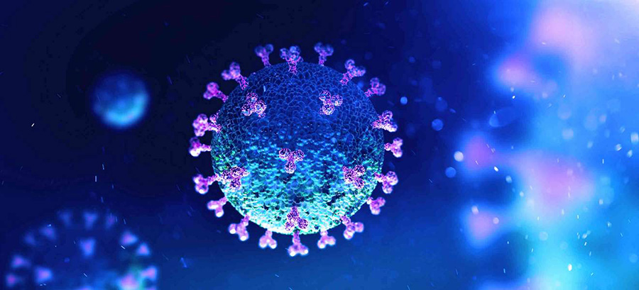 ابتلای 40 نفر به ویروس کرونا در یک عروسی در اردل - 40 people have infected with coronavirus at a wedding in Ardal