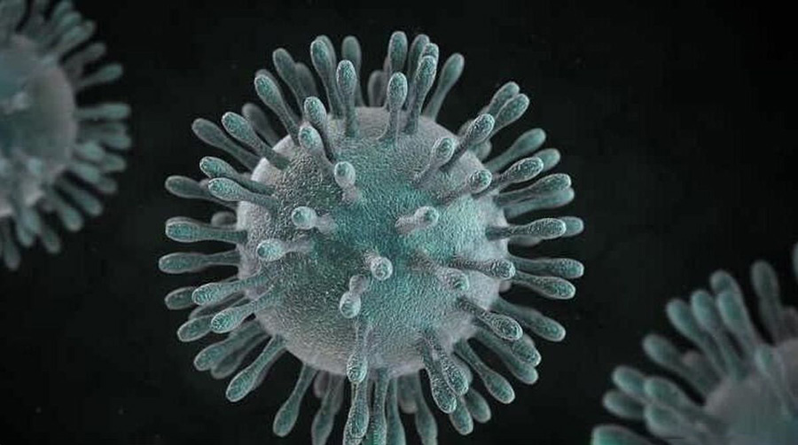 البرز وارد پیک دوم کروناویروس شد - Alborz entered the second peak of Coronavirus