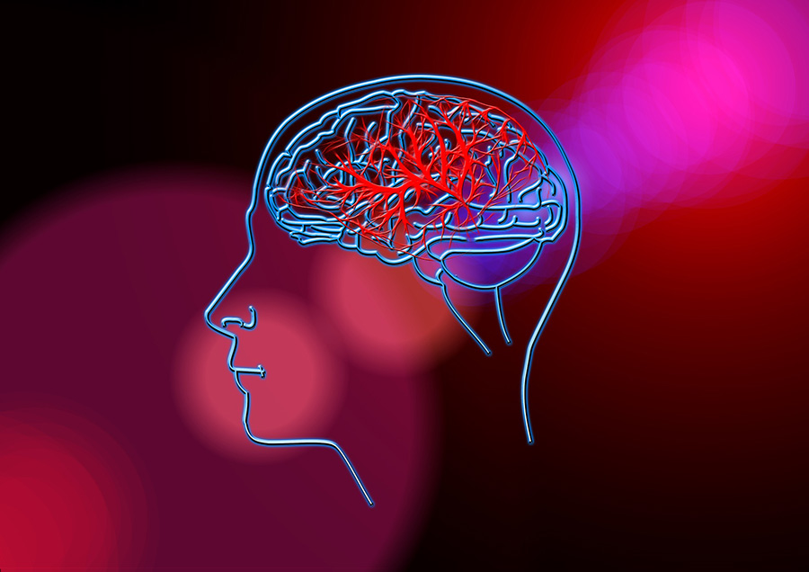 حمله کروناویروس به «مغز» ثابت شد - Coronavirus attack on the brain was proven حمله کروناویروس به «مغز» ثابت شد - Coronavirus attack on the brain was proven