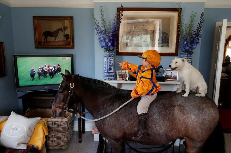 کودک خردسال 3 ساله بریتانیایی با سگ خود روی اسبش نشسته و مسابقات اسب‌سواری را از تلویزیون تماشا می‌کند.