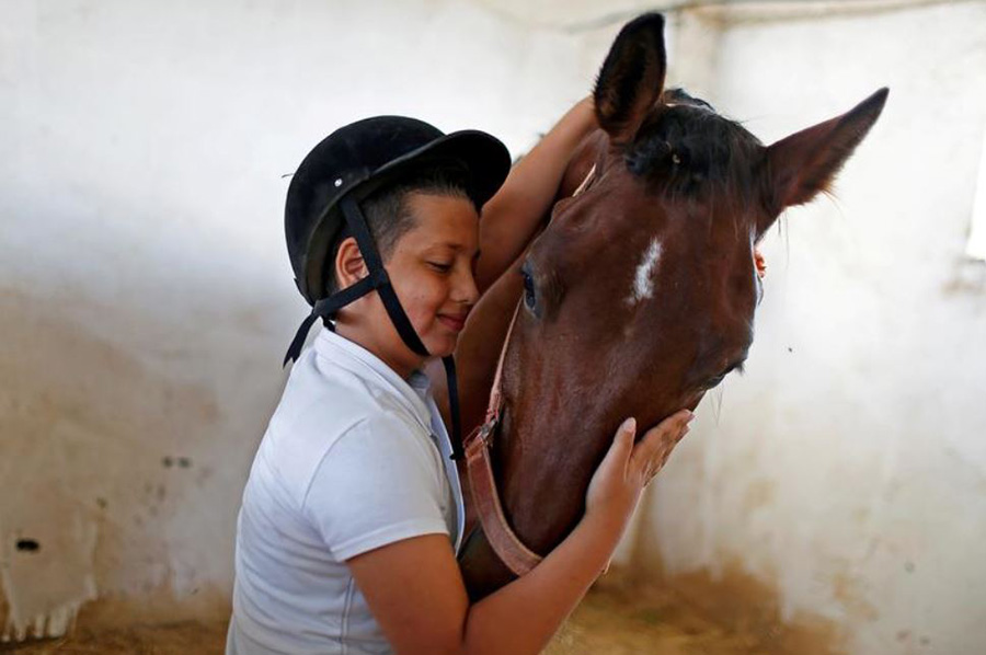 اسب سوار نوجوان فلسطینی با اسب خود پیش از آغاز مسابقات پرش اسب در باریکه غزه