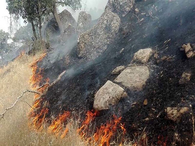 آتش سوزی در جنگل‌های خائیز