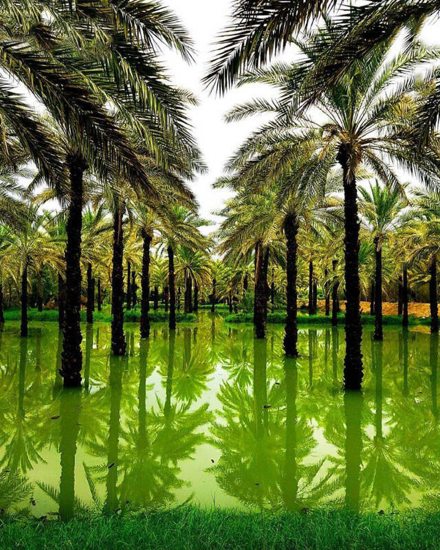 اینجا طبیعت چاه مسلم از توابع شهرستان بندر لنگه در استان هرمزگان است. اینجا طبیعت چاه مسلم از توابع شهرستان بندر لنگه در استان هرمزگان است.
