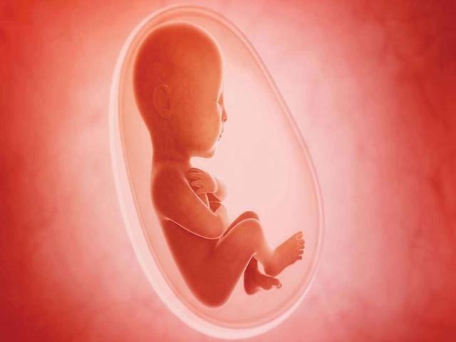 روزانه 1000 جنین یعنی یک سوم نوزادهای ایرانی قبل از تولد سقط می‌شوند